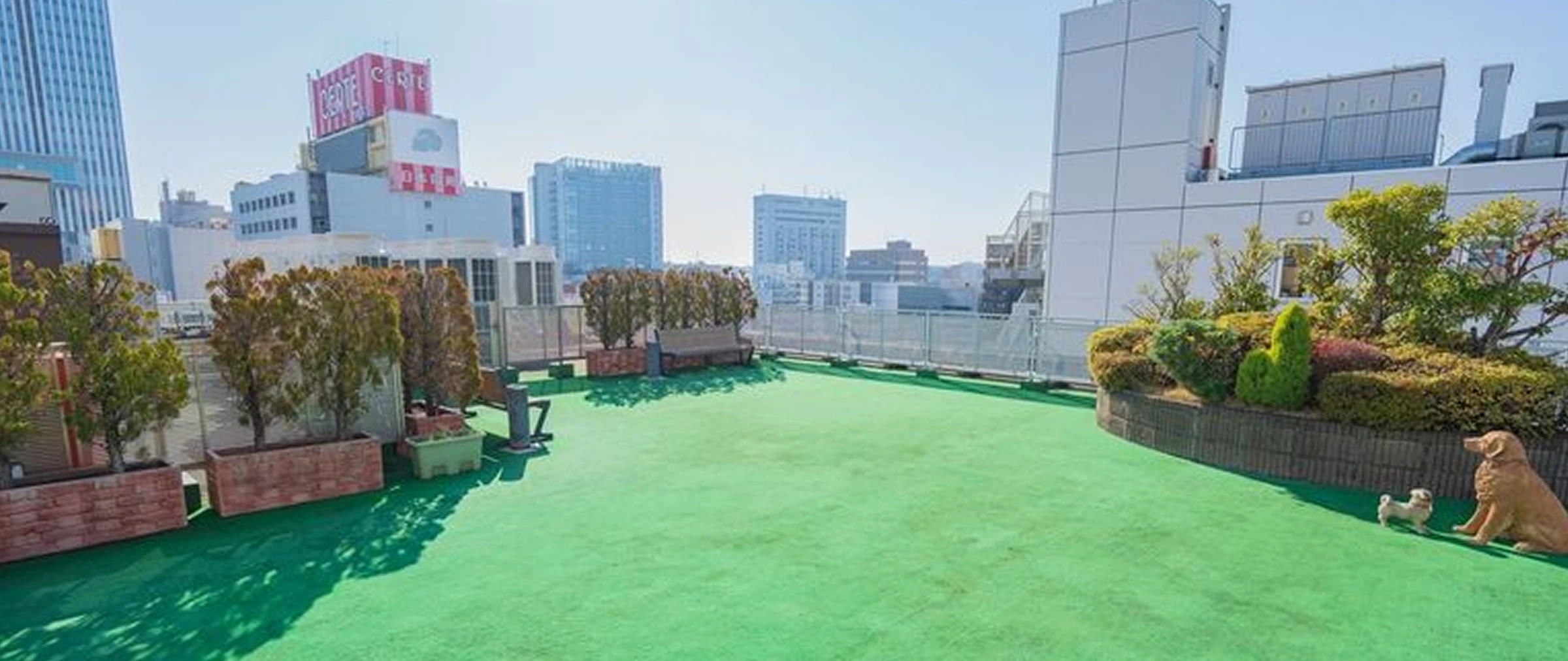 屋上庭園
